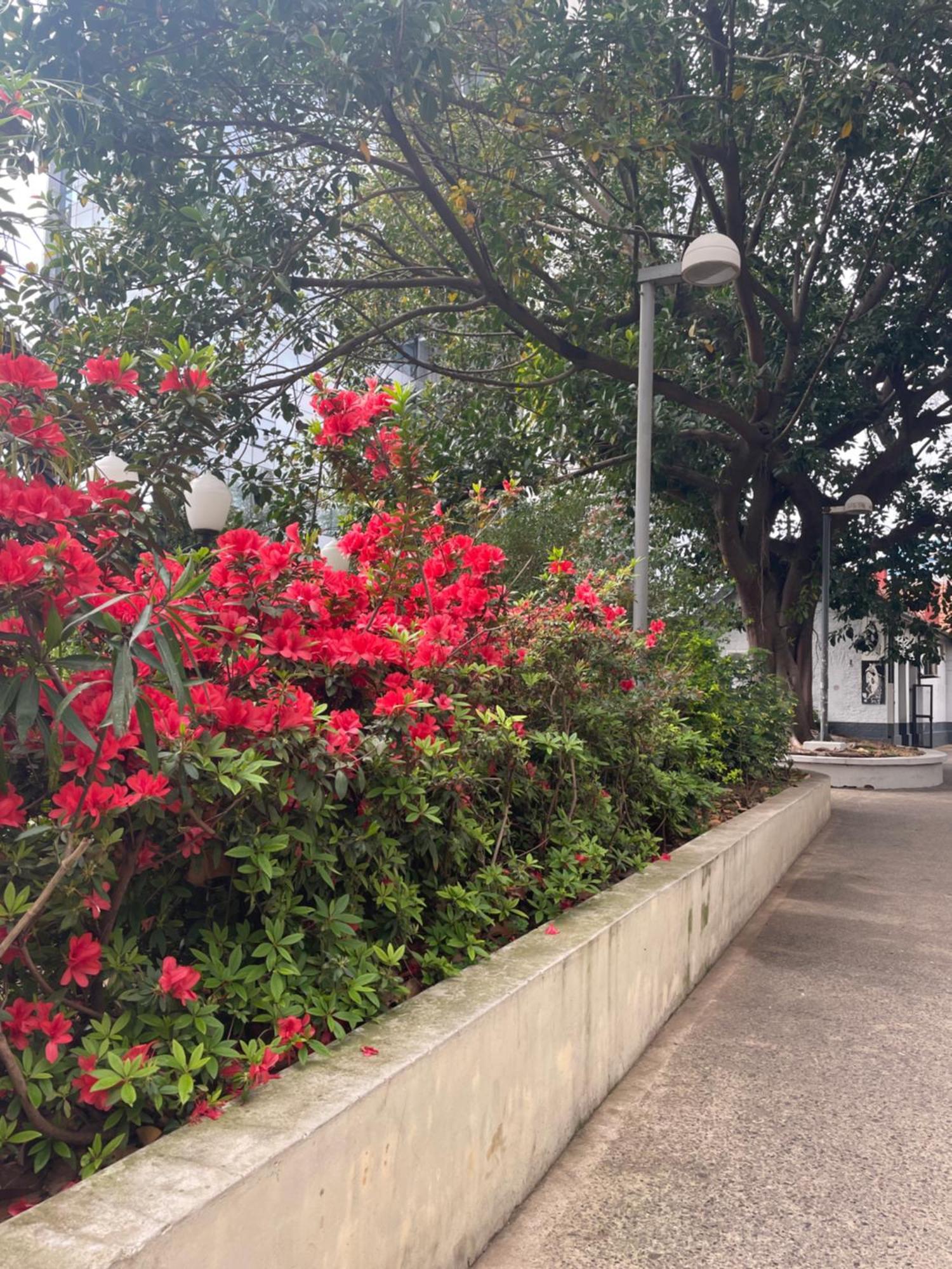Hotel Vicente Lopez Ngoại thất bức ảnh