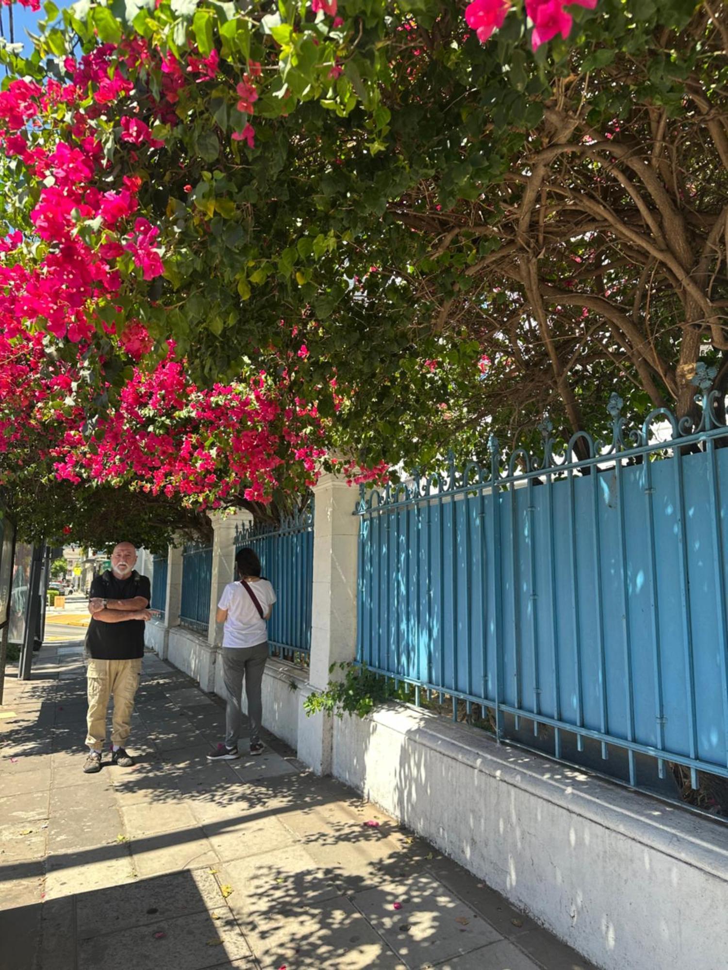 Hotel Vicente Lopez Ngoại thất bức ảnh